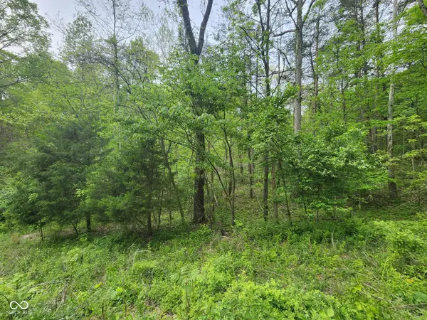 2921 W Cottonwood Road, Morgantown, IN 46160