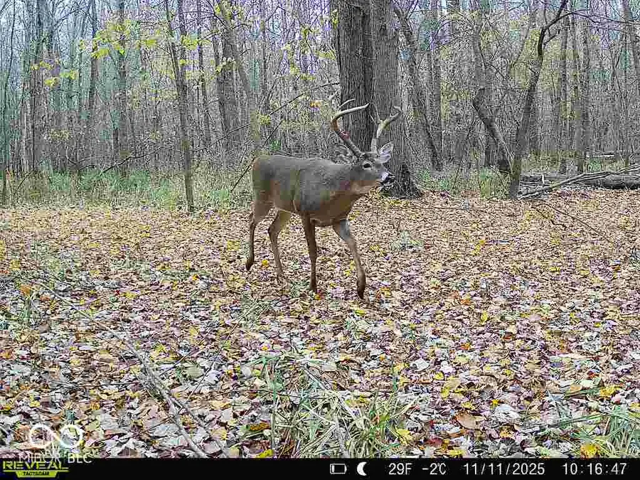 6000 E Block County Rd 1000 N, Seymour, IN 47274 - #3