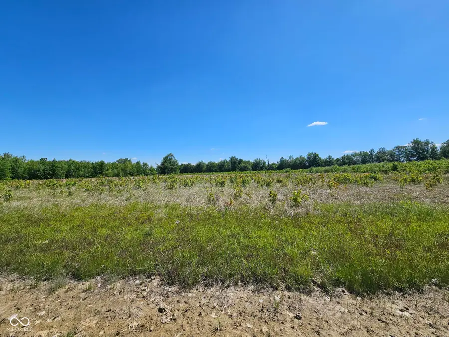 6000 S Block Us Highway 31, Crothersville, IN 47229 - #2