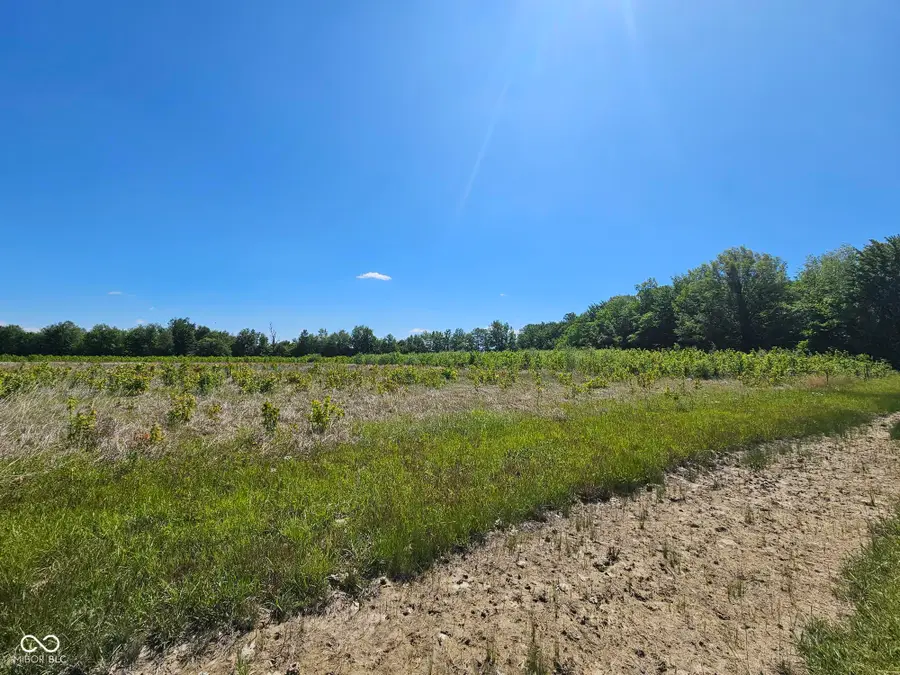 6000 S Block Us Highway 31, Crothersville, IN 47229 - #3