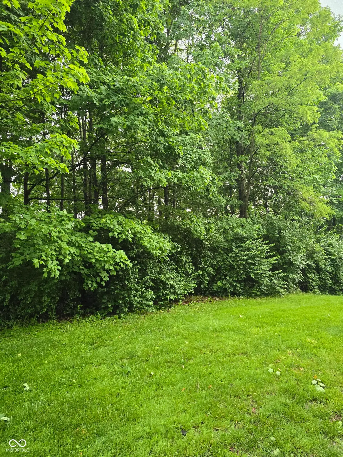 9895 Irishmans Run Lane, Zionsville, IN 46077 - #1