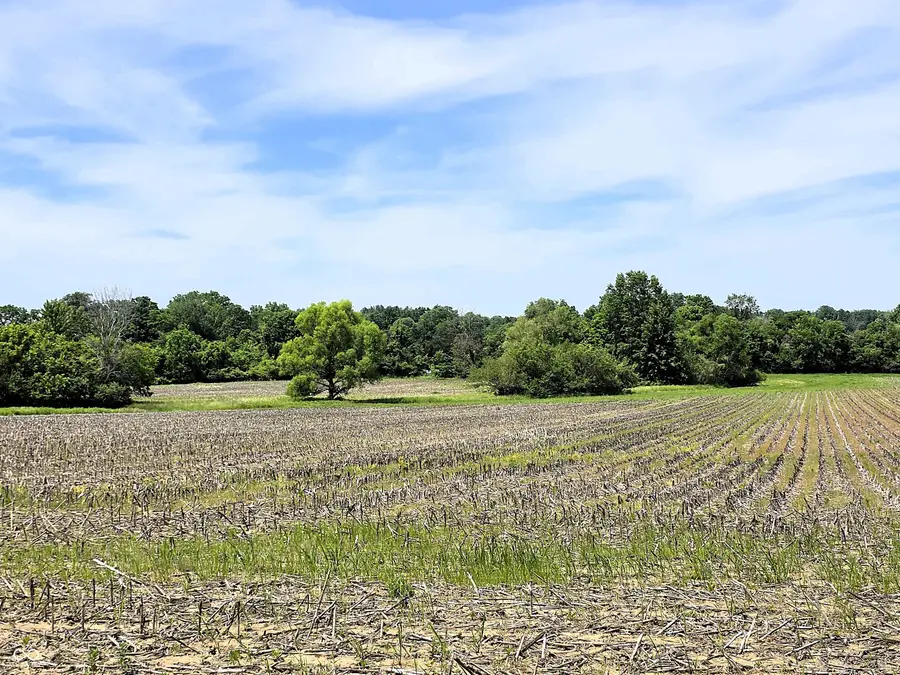 Lot 6 Legacy Estates At Paradise, Martinsville, IN 46151 - #3