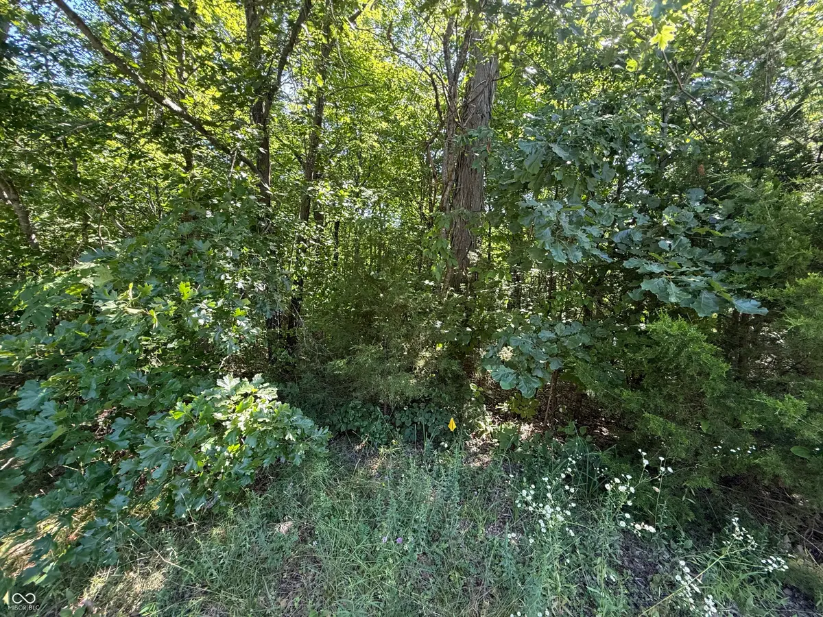 6579 Nicole Drive, Nashville, IN 47448 - #1