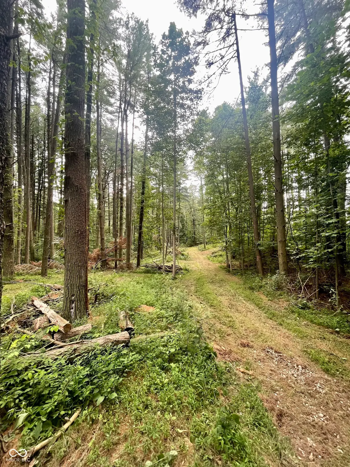 7288 Becks Grove Road, Freetown, IN 47235 - #1