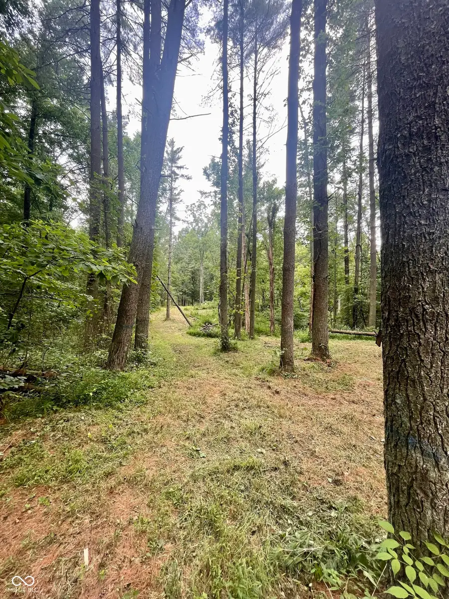 7288 Becks Grove Road, Freetown, IN 47235 - #2