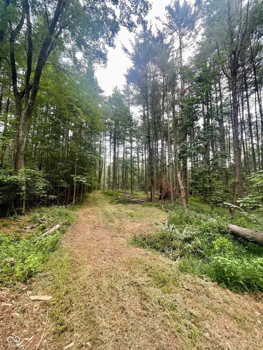 7288 Becks Grove Road, Freetown, IN 47235 - #3