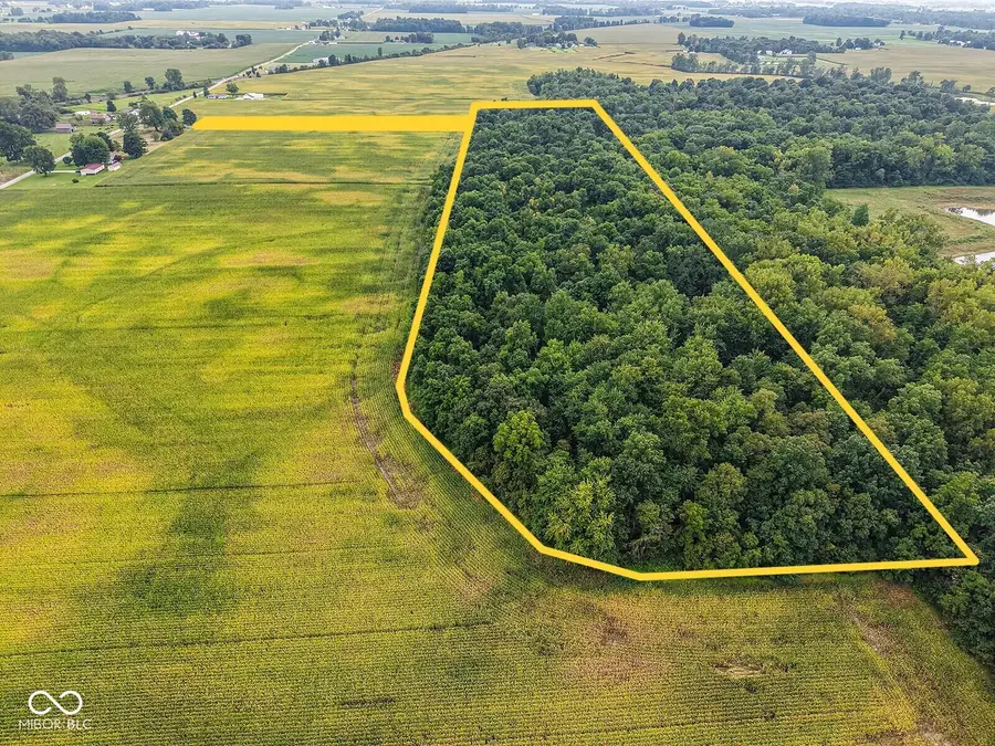 9101 N County Rd 650 E, Albany, IN 47320 - #2