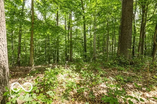 8356 Sweetwater Drive, Nineveh, IN 46164 - #3