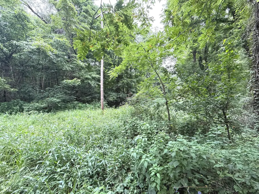 00000 E Ferndale Road, Rockville, IN 47872 - #2