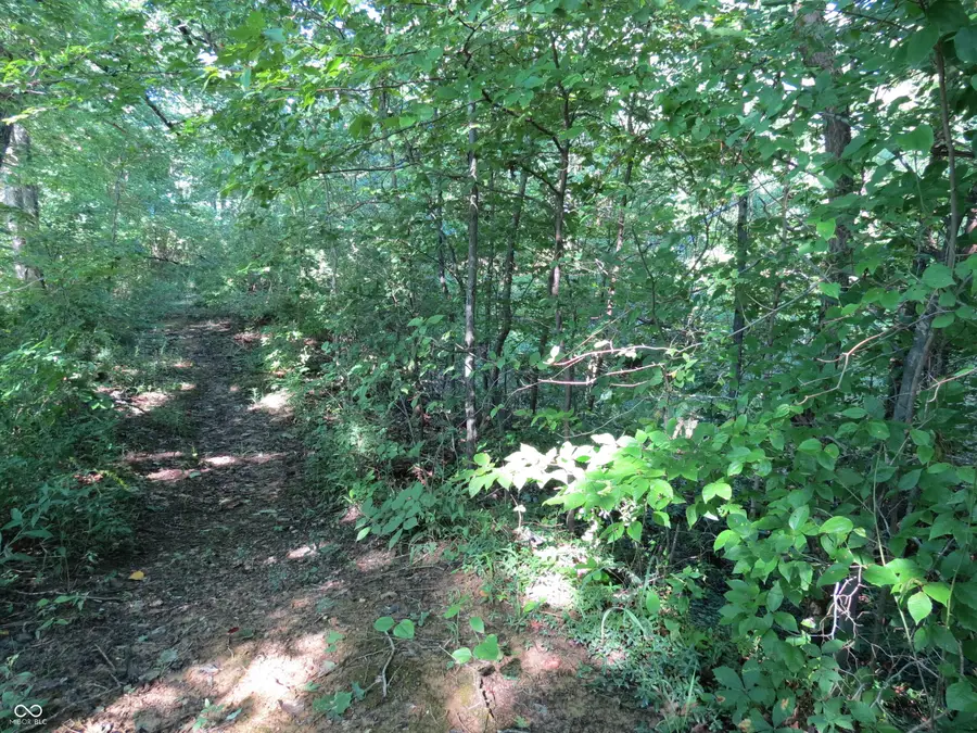 9814 N Short Chute, Morgantown, IN 46160 - #2