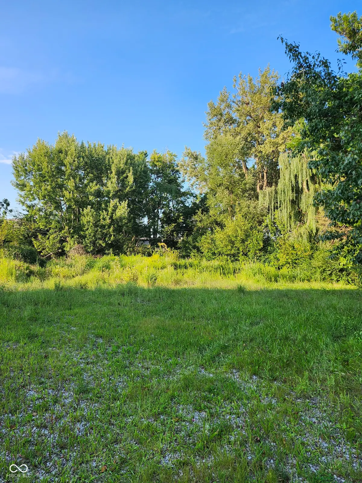 8224 Frye Road, Indianapolis, IN 46259 - #1