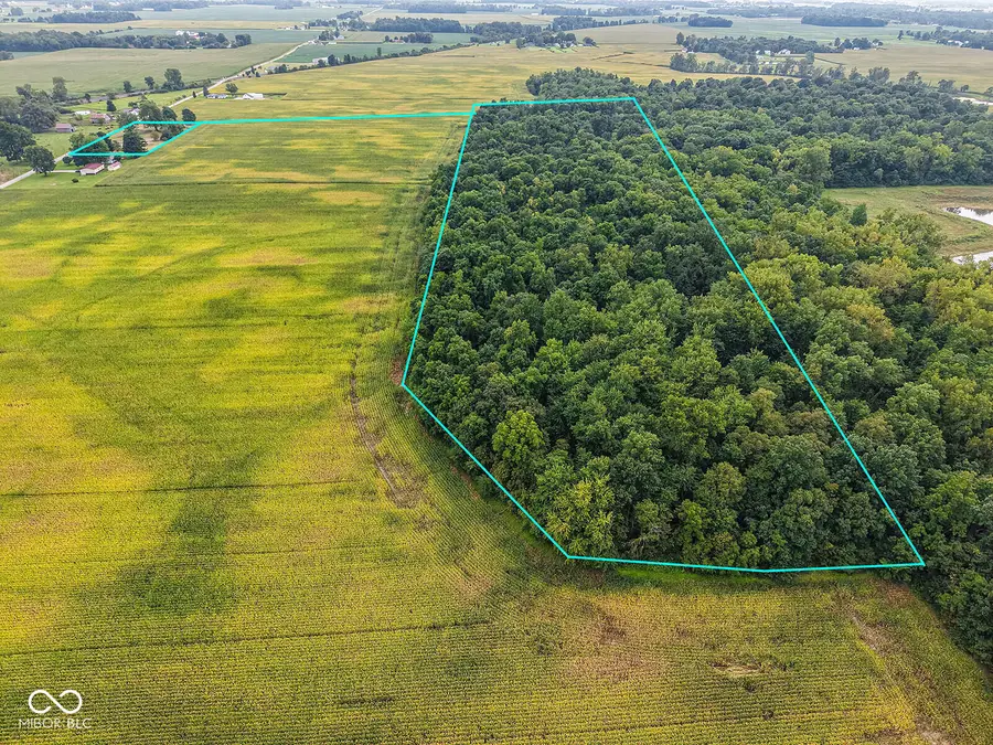 9101 N County Road 650 E, Albany, IN 47320 - #2