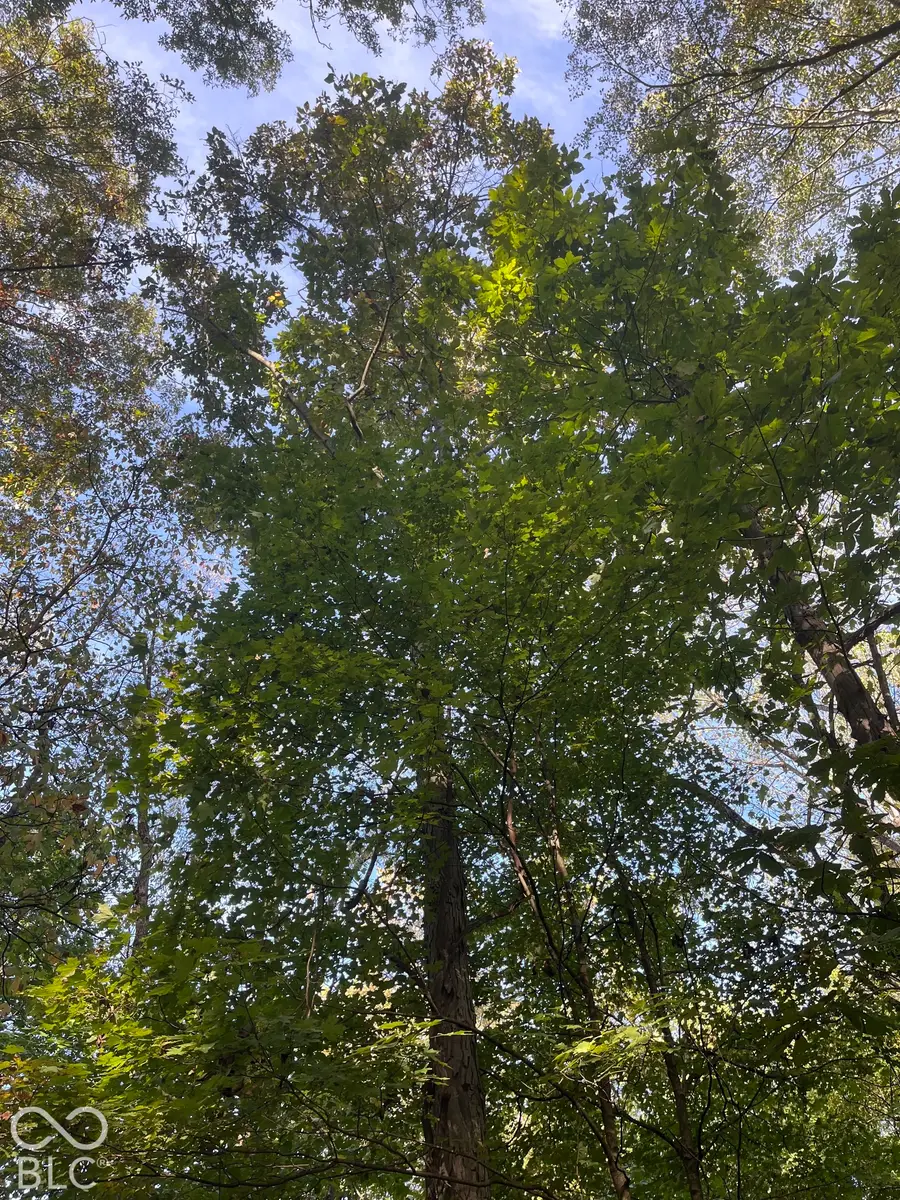Tract 6 Sunnyside Rd, Deputy, IN 47230 - #3