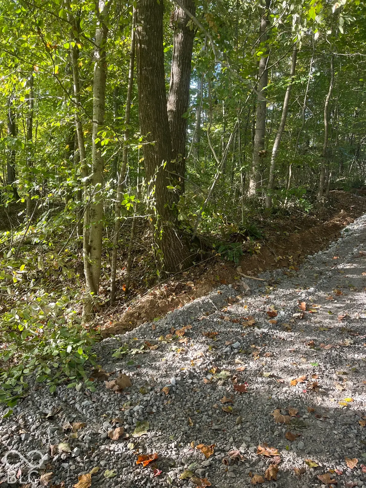 Tract 7 Sunnyside Road, Deputy, IN 47230 - #1