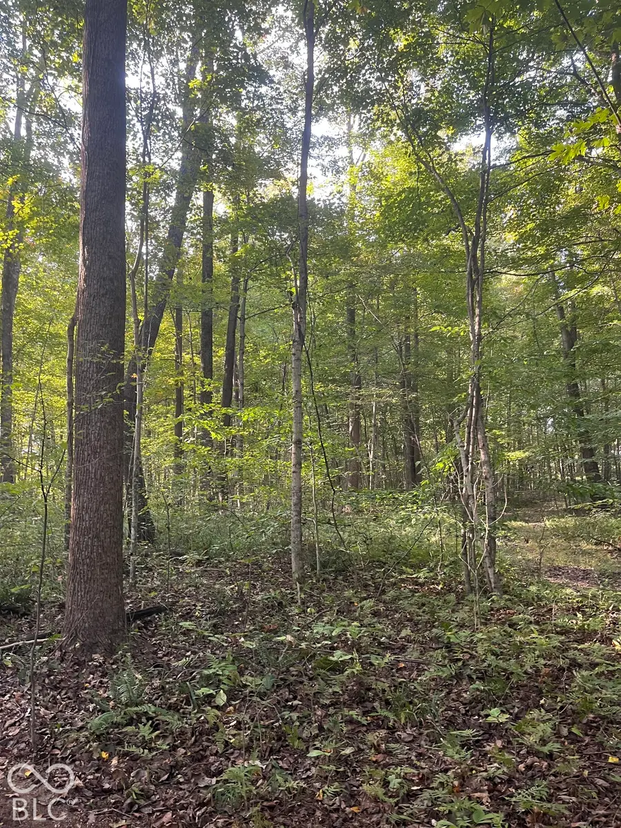 Tract 7 Sunnyside Road, Deputy, IN 47230 - #2