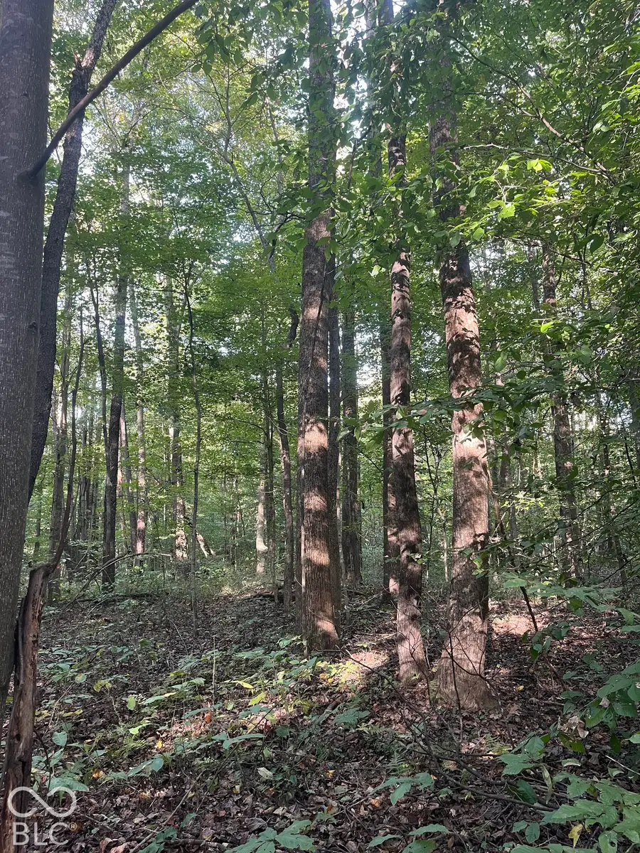 Tract 7 Sunnyside Road, Deputy, IN 47230 - #3