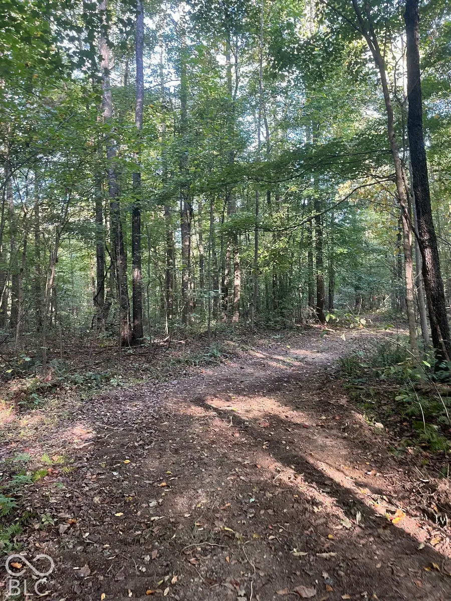 Tract 8 Sunnyside Road, Deputy, IN 47230 - #2