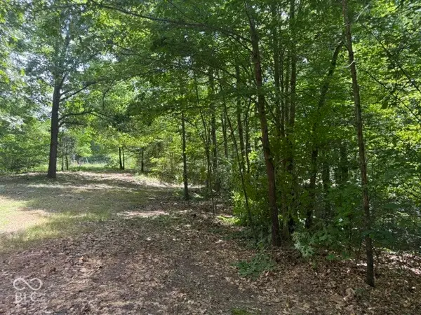 0 Buffalo Pike Road, Freetown, IN 47235
