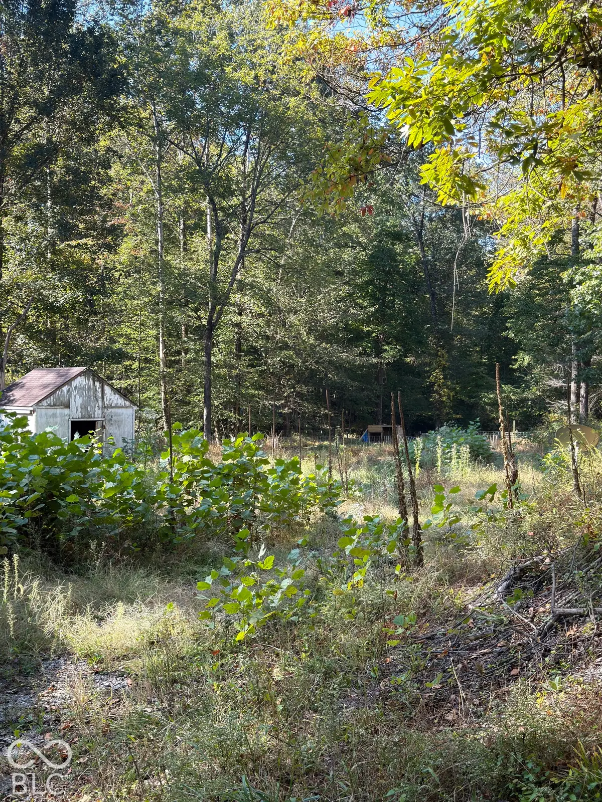 8942 Bean Blossom Road, Trafalgar, IN 46181 - #1