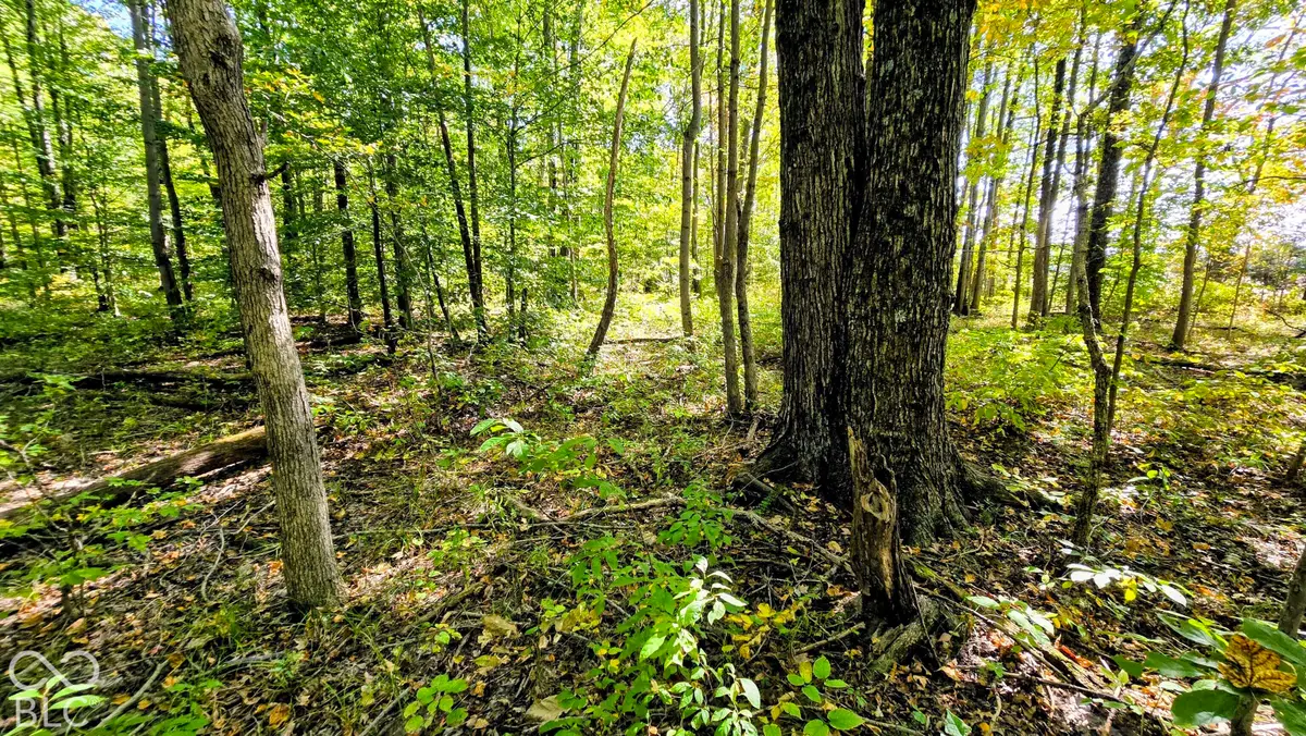 3255 Lemon Road, Madison, IN 47250 - #1