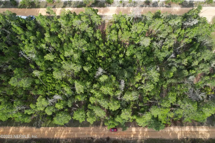 0 Selma Avenue, Interlachen, FL 32148 - Image #2