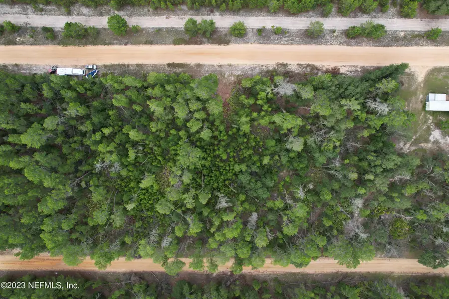 0 Selma Avenue, Interlachen, FL 32148 - Image #3