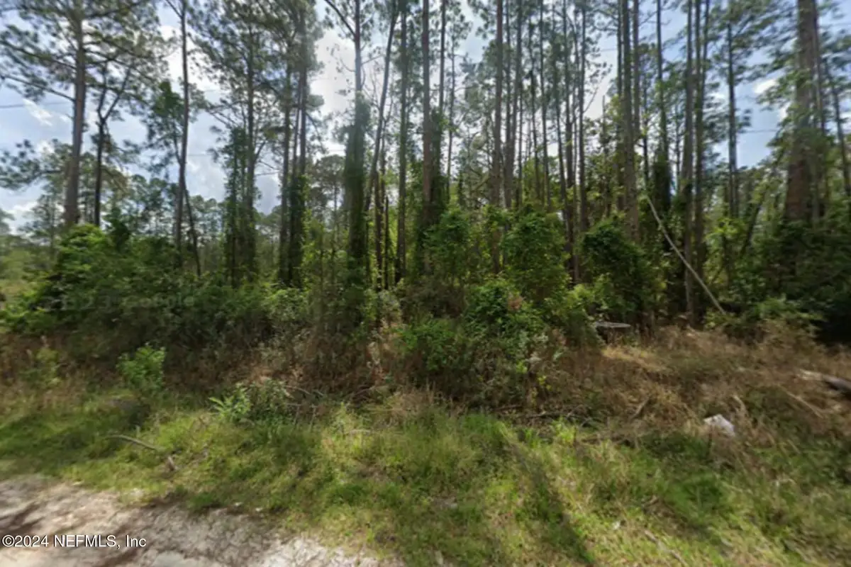 105 Pine Cone Drive, Georgetown, FL 32139 - #1