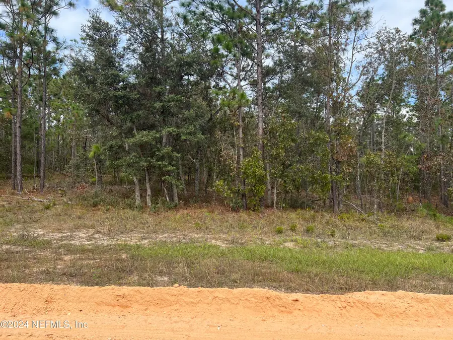 255 Melrose Landing Drive, Hawthorne, FL 32640 - #3
