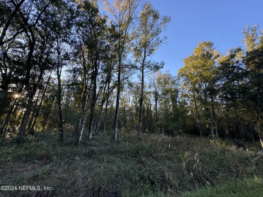 10175 Yeager Avenue, Hastings, FL 32145 - Image #2