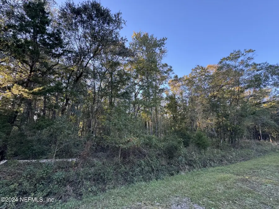 10175 Yeager Avenue, Hastings, FL 32145 - Image #3