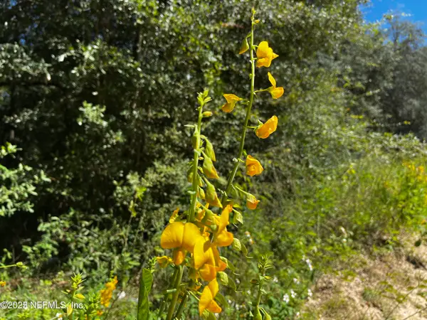 6076 Indian Trail Trail, Keystone Heights, FL 32656