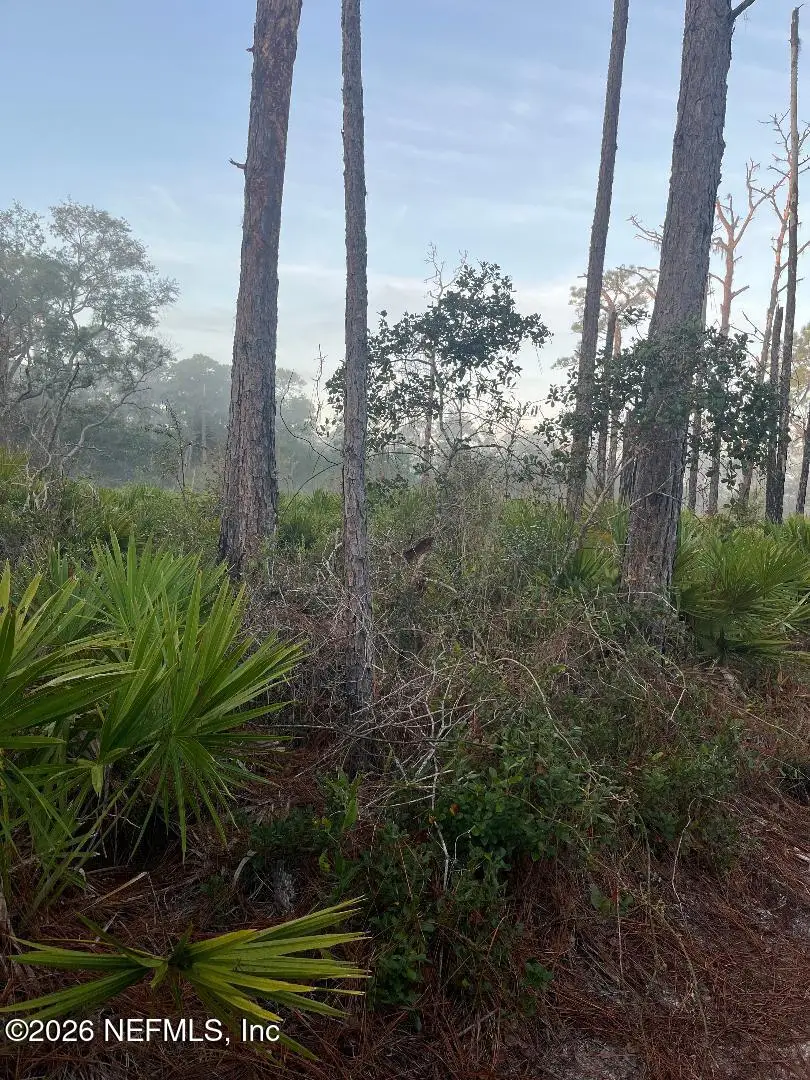 211 Temple Avenue, Crescent City, FL 32112 - #2