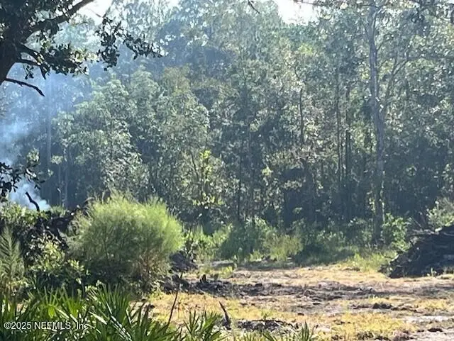 1957 Crestview Court, Middleburg, FL 32068 - Image #3