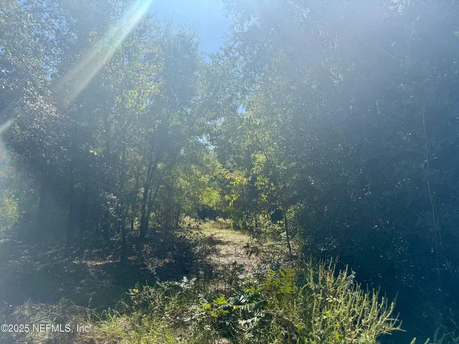 00 S County Rd 315, Interlachen, FL 32148 - Image #3