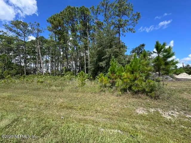 4376 County Road 218, Middleburg, FL 32068 - Image #2