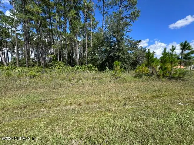 4376 County Road 218, Middleburg, FL 32068 - Image #3