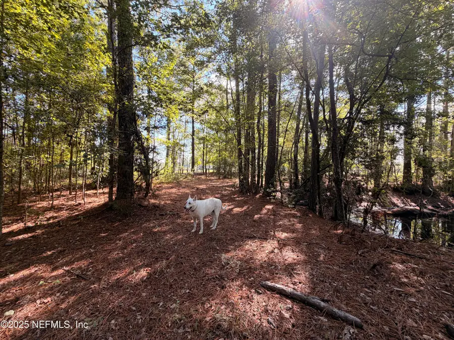 1168/1178 Windridge Lane, Bryceville, FL 32009 - Image #2