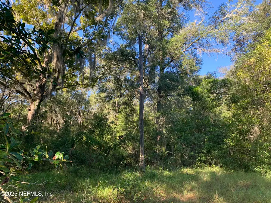 000 Baden Powell Road, Interlachen Florahome, FL 32140 - Image #2