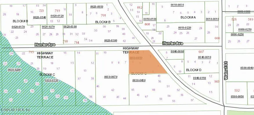 601 Citron Avenue, Crescent City, FL 32112 - Image #2