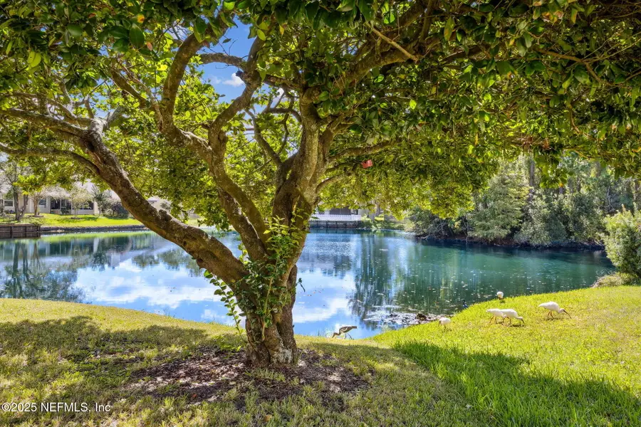 2077 Tanager Drive, Orange Park, FL 32073 - Image #2