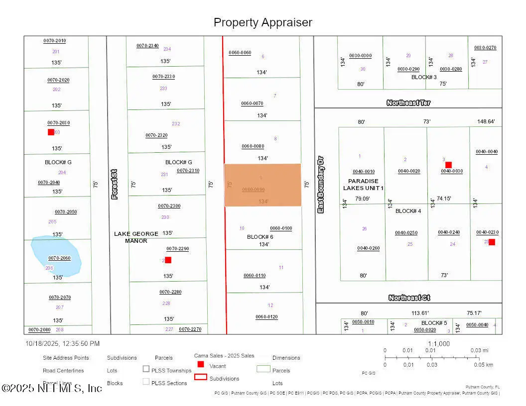 141 E Boundary Drive, Georgetown, FL 32139 - Image #1