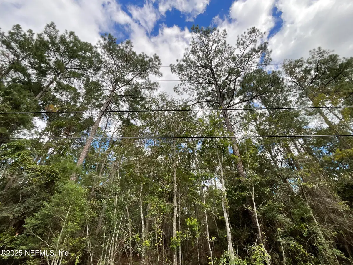 3089 Veronica Avenue, Middleburg, FL 32068 - Image #1