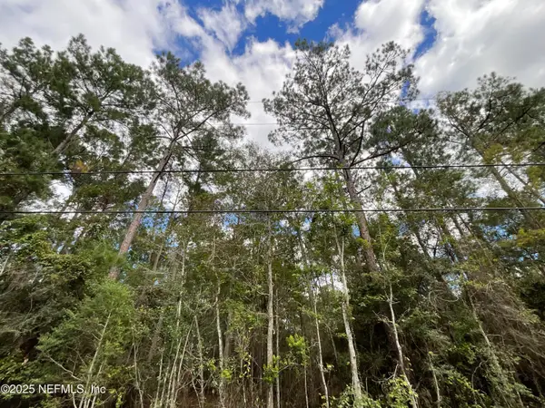 3089 Veronica Avenue, Middleburg, FL 32068