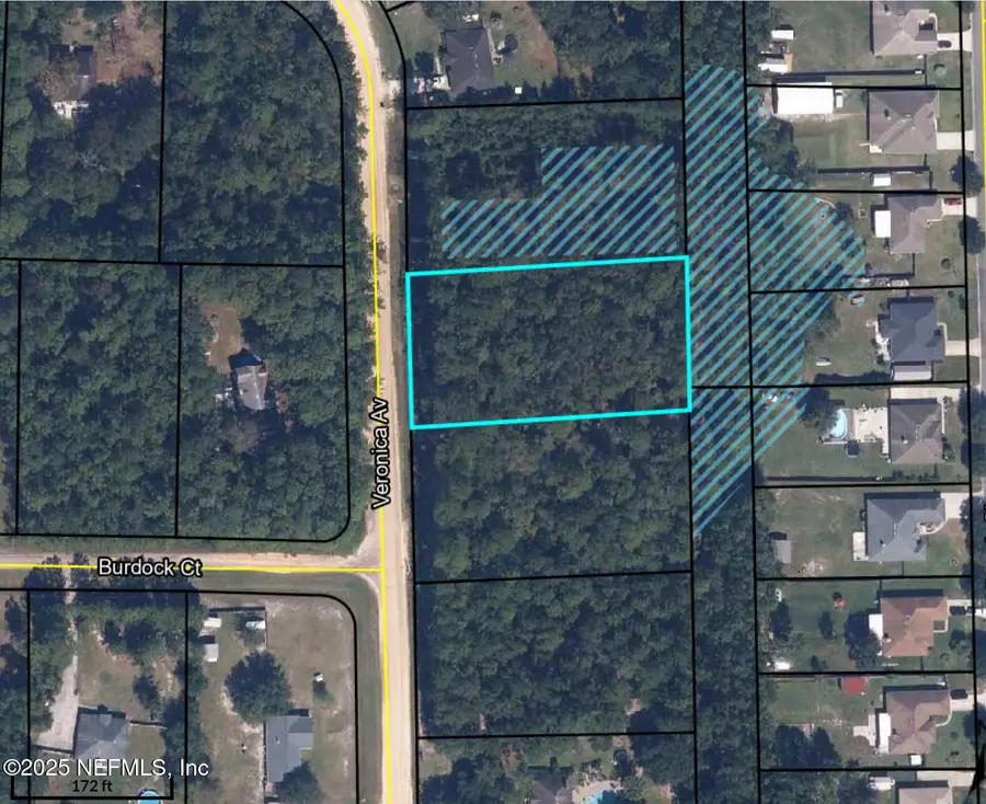 3089 Veronica Avenue, Middleburg, FL 32068 - Image #2