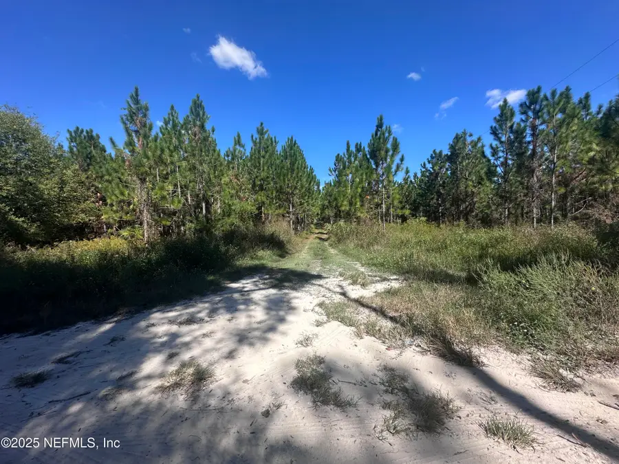 565 SW Daisy Road, Lake City, FL 32024 - Image #2
