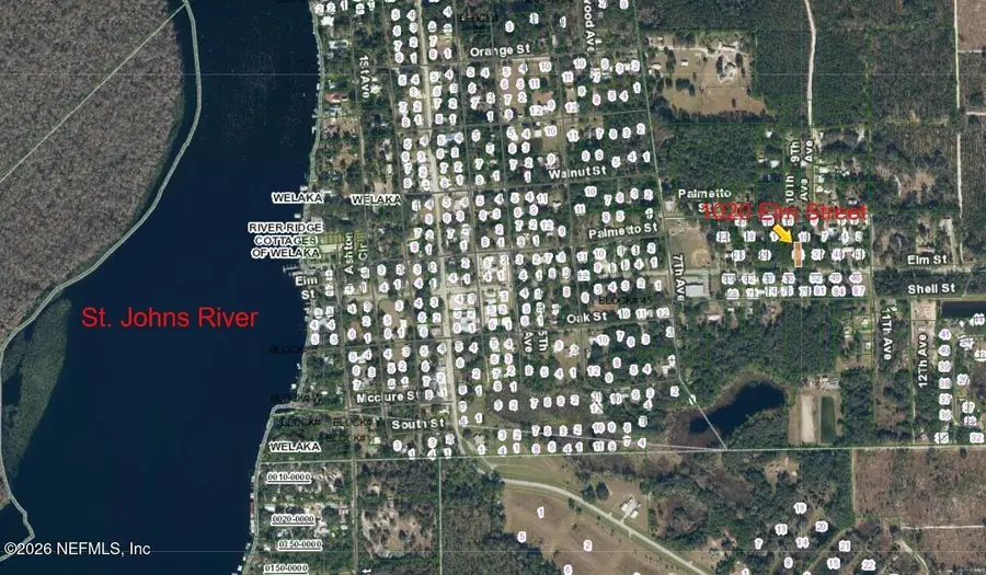 1020 Elm Street, Welaka, FL 32193 - #3