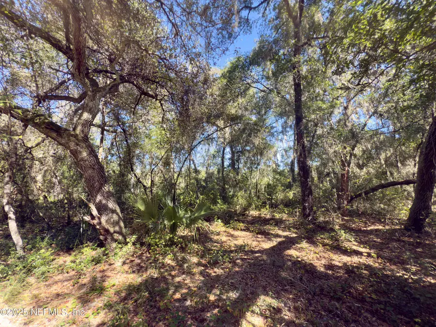 000 S S County Road 315, Interlachen, FL 32148 - Image #3