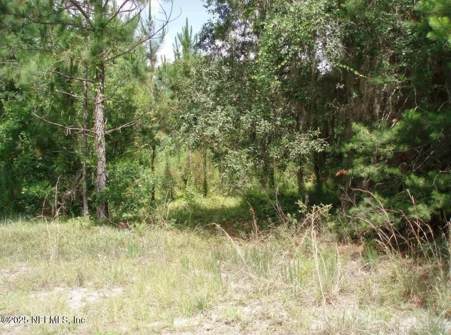 3381 3rd Street, Elkton, FL 32033 - Image #3