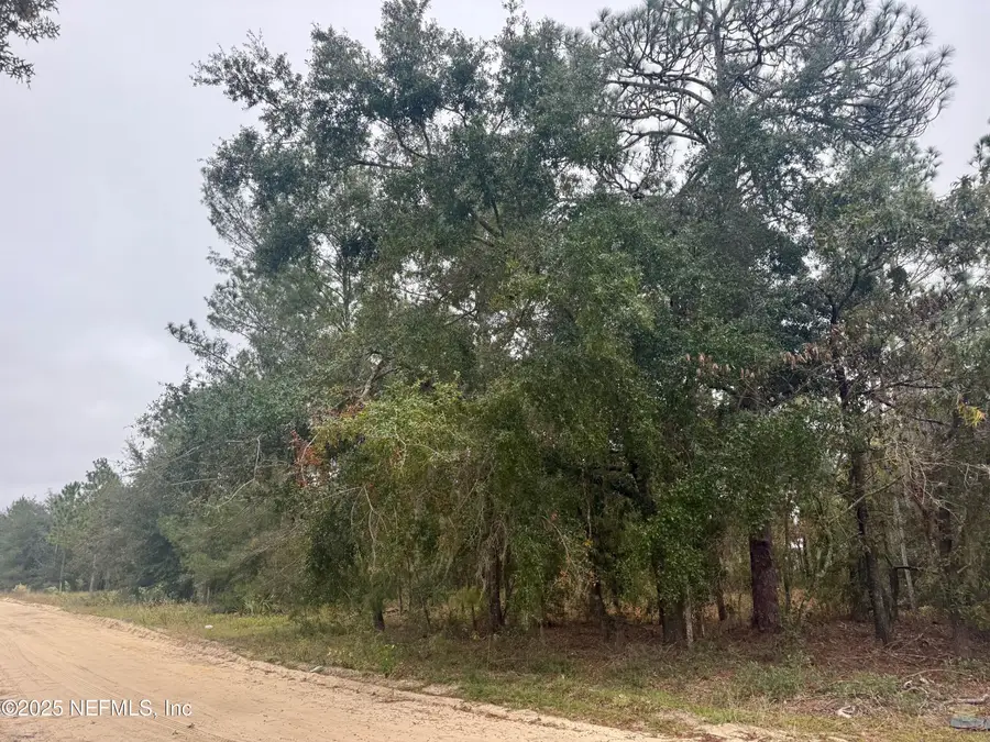 500 Georgette Street, Interlachen, FL 32148 - Image #3