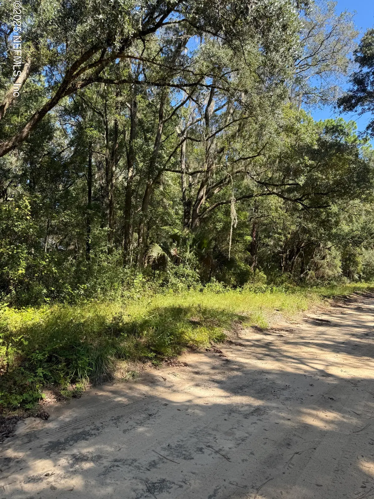 0 Arnold Street, Interlachen, FL 32148 - Image #1